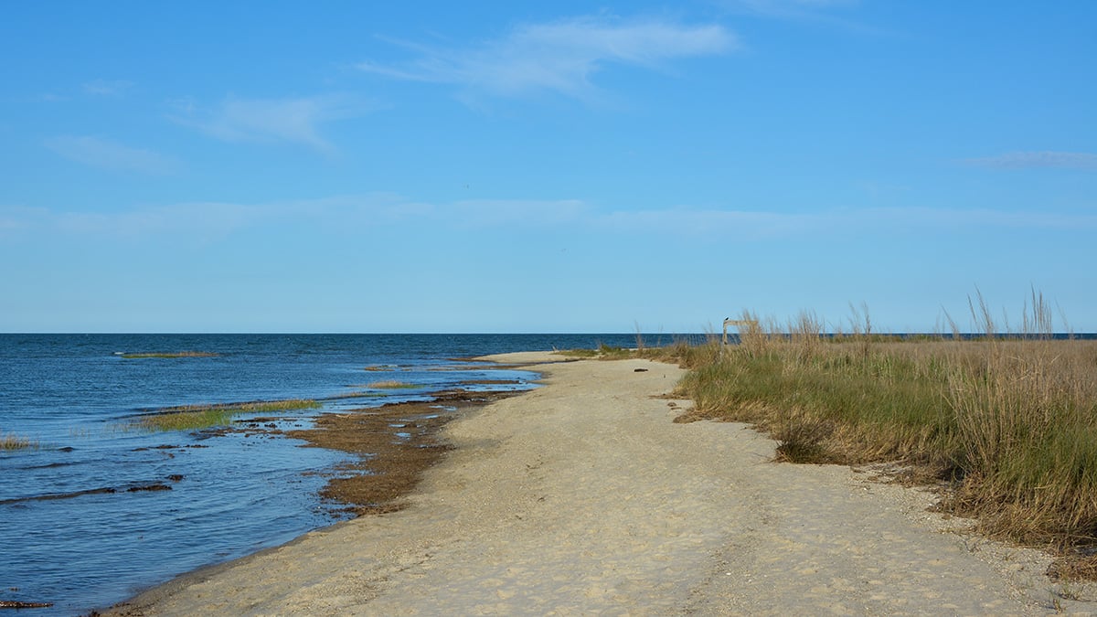 Environmental Learning with Chesapeake Bay Foundation