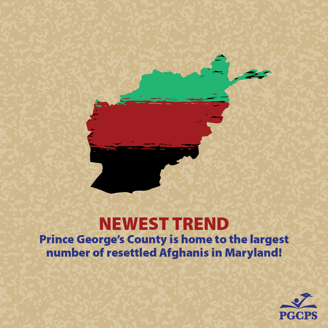 APA_Month_Statistics_Afghanistan.png