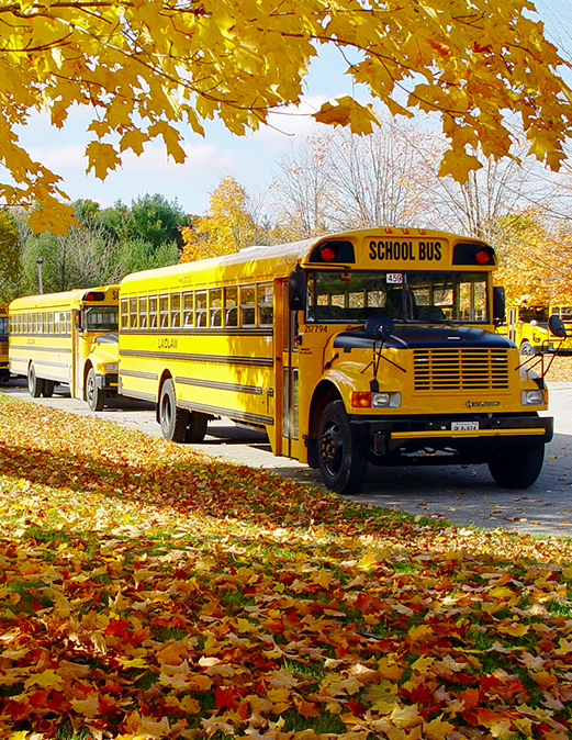 Awesome School Bus, credited to Google maps., PatrickRich