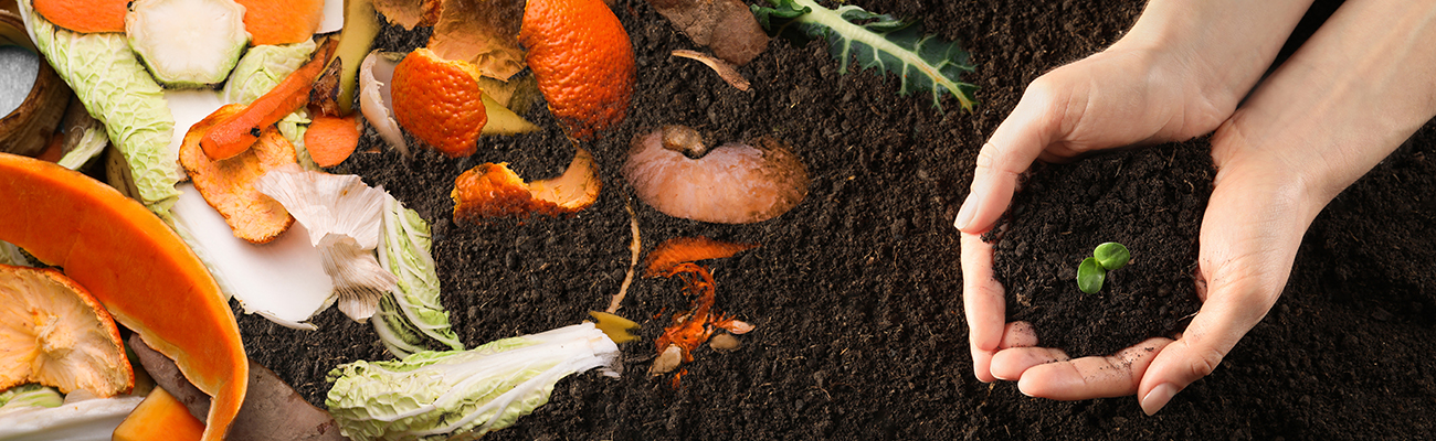 food-waste-composting-healthy-soil